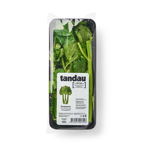 Сельдерей Tandau