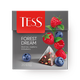 Чай чёрный Tess Forest Dream с малиной и черникой в пирамидках