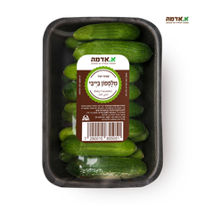 Mini cucumber- packed