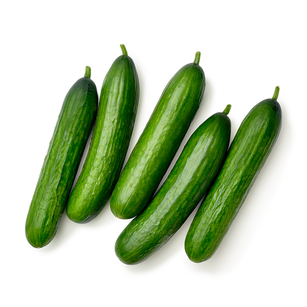 Огурцы свежие сорт Everyday Fresh Орзу