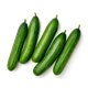 Огурцы свежие сорт Everyday Fresh Орзу