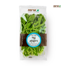 Arugula - packed