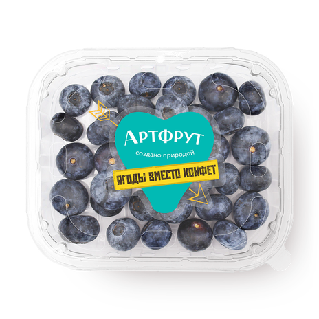 Голубика «Артфрут»