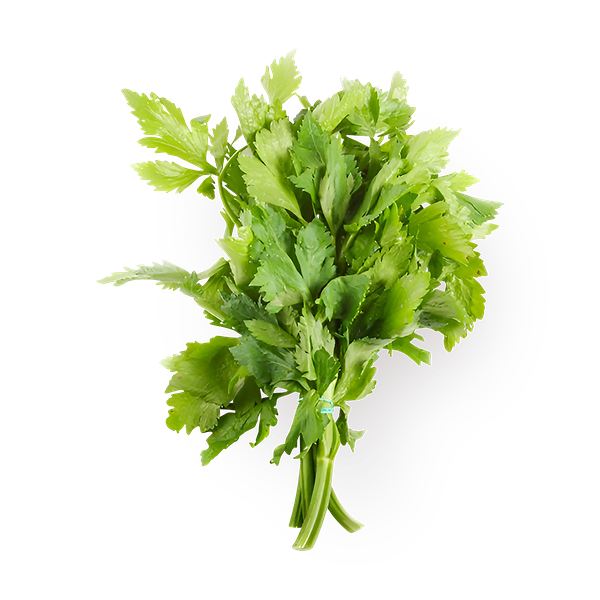 Сельдерей EveryDay Fresh
