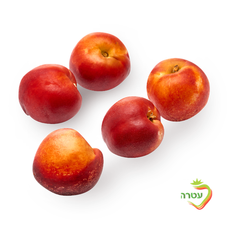 Nectarine pack