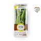 Sage -packed