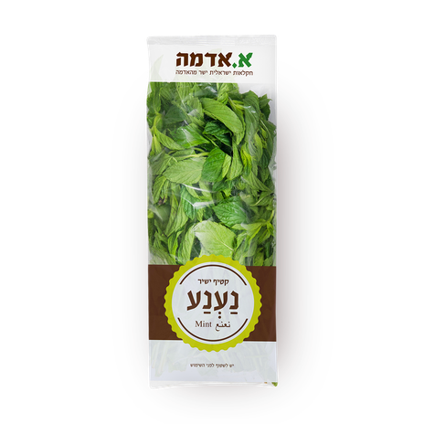 Spearmint - packed