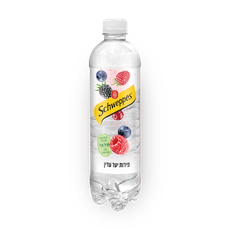 Schweppes berries 500ml