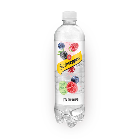 Schweppes berries 500ml