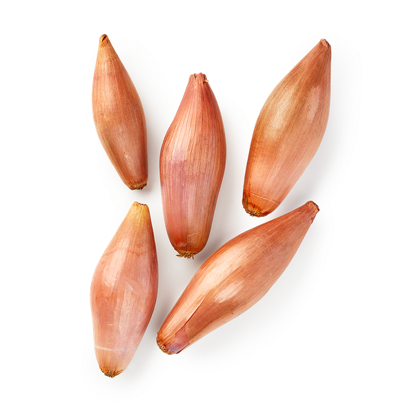 Лук Шалот