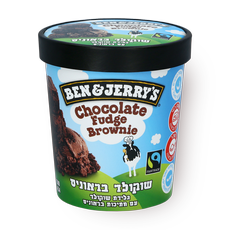 Ben&Jerry's chocolate Fudge brownies Ice cream pint