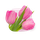 Цветы