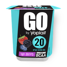 Yoplait Go Berries yogurt 2%
