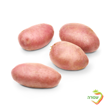Red potato, packed