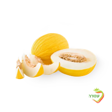 Yellow Spanish Melon