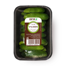 Mini cucumber- packed