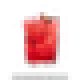 Spicehaus Test Tube Baby
