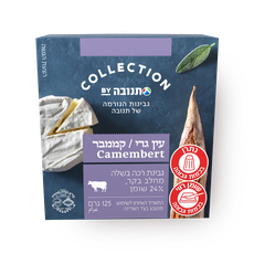 Tnuva Camembert cheese 24%