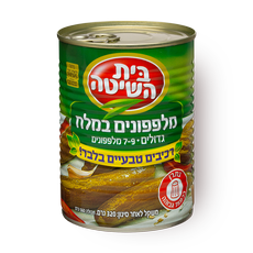 Beit Hashita Big Salted cucumbers