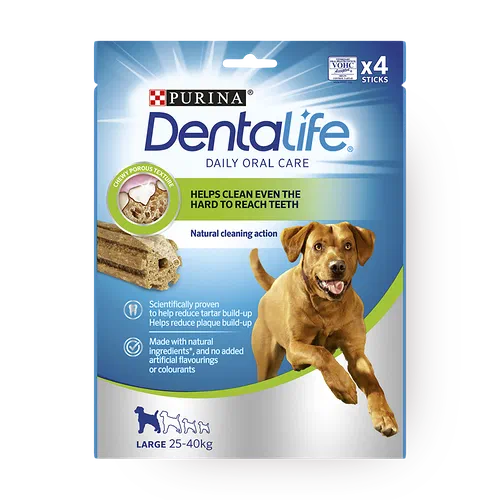 Purina dental sale life