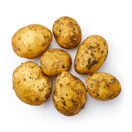 Картофель белый ранний