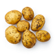 Картофель белый ранний
