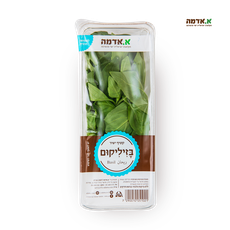 Basil - packed