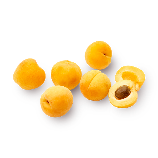 Apricot