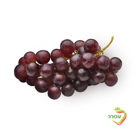 Tali Red grapes packed