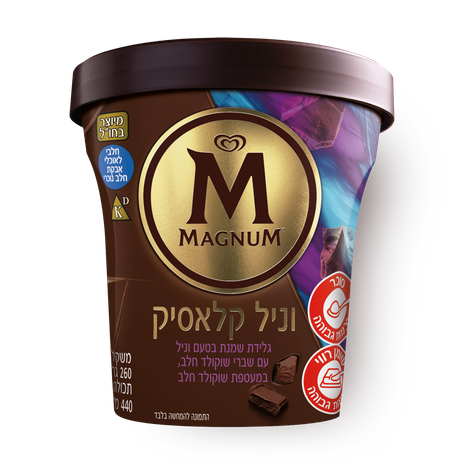 Magnum Classic Ice Cream