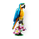 Конструктор Lego Creator 31136 Экзотический попугай, 253 детали