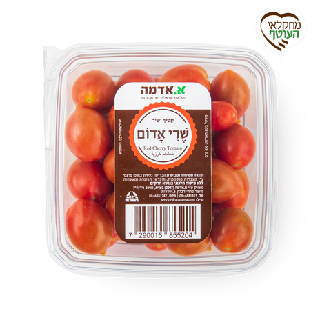 Red Cherry tomatoes, packed