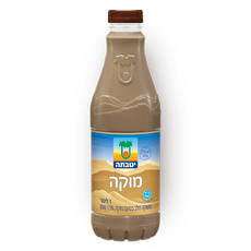 Yotvata Mocca flavored milk drink 2%