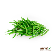 Green beans - packed