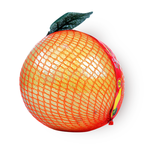 Помело