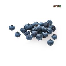 Bluberries packed