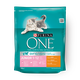 Purina ONE Kittens food