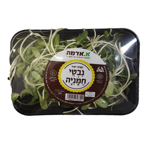 Sunflower sprouts pack
