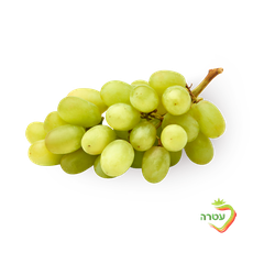 Tali green grapes packed