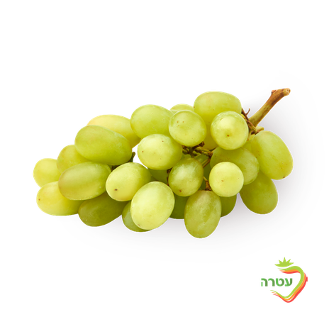 Tali green grapes packed