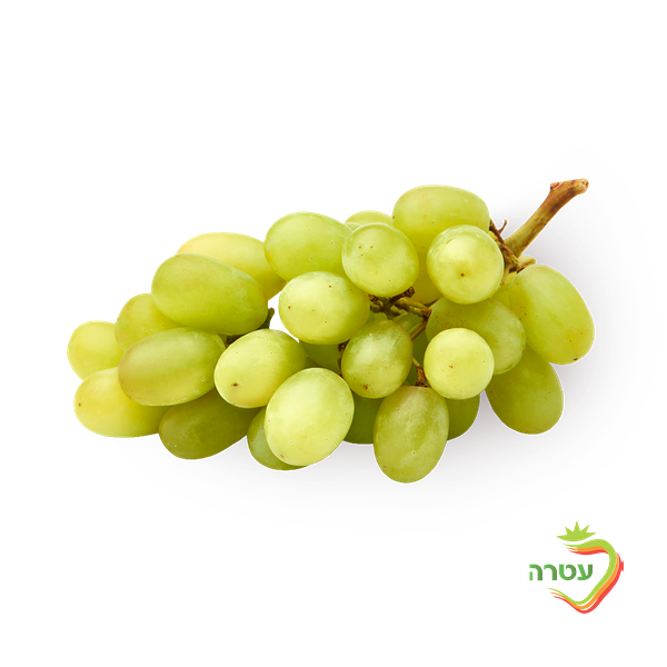 Tali green grapes packed