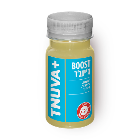 Tnuva+ Boost ginger