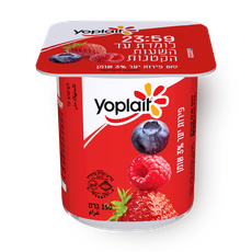 Yoplait Berries yogurt 3%