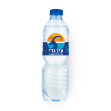 Ein Gedi Mineral water