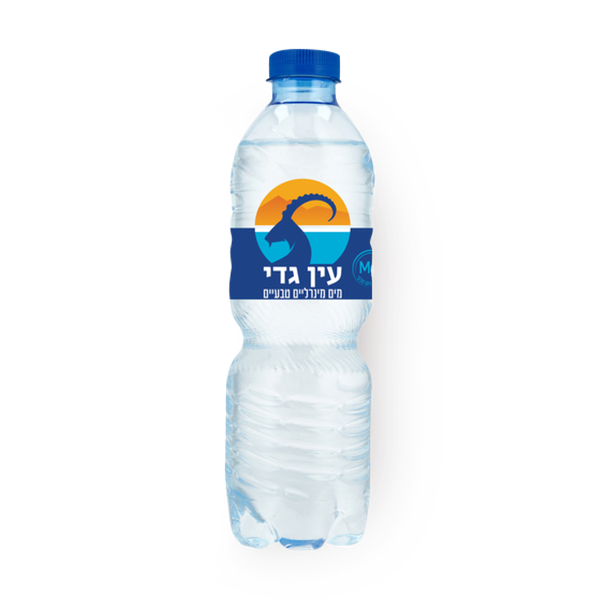 Ein Gedi Mineral water