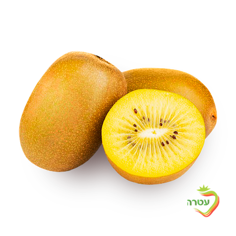 Packed Yellow Kiwi