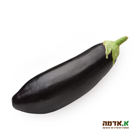 Eggplant, packed