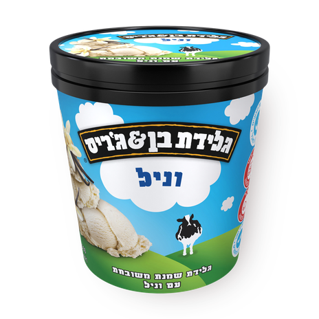 Ben&Jerry's French vanilla Ice cream pint