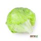 Round lettuce