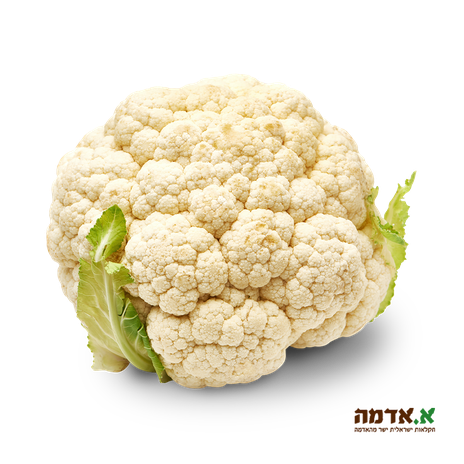 Cauliflower-pack